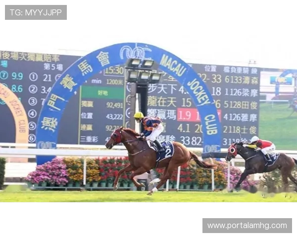 澳门赛马会网站操作指南教你如何快速查看赛程安排与比赛结果 澳门赛马会网站操作指南教你如何快速查看赛程安排与比赛结果